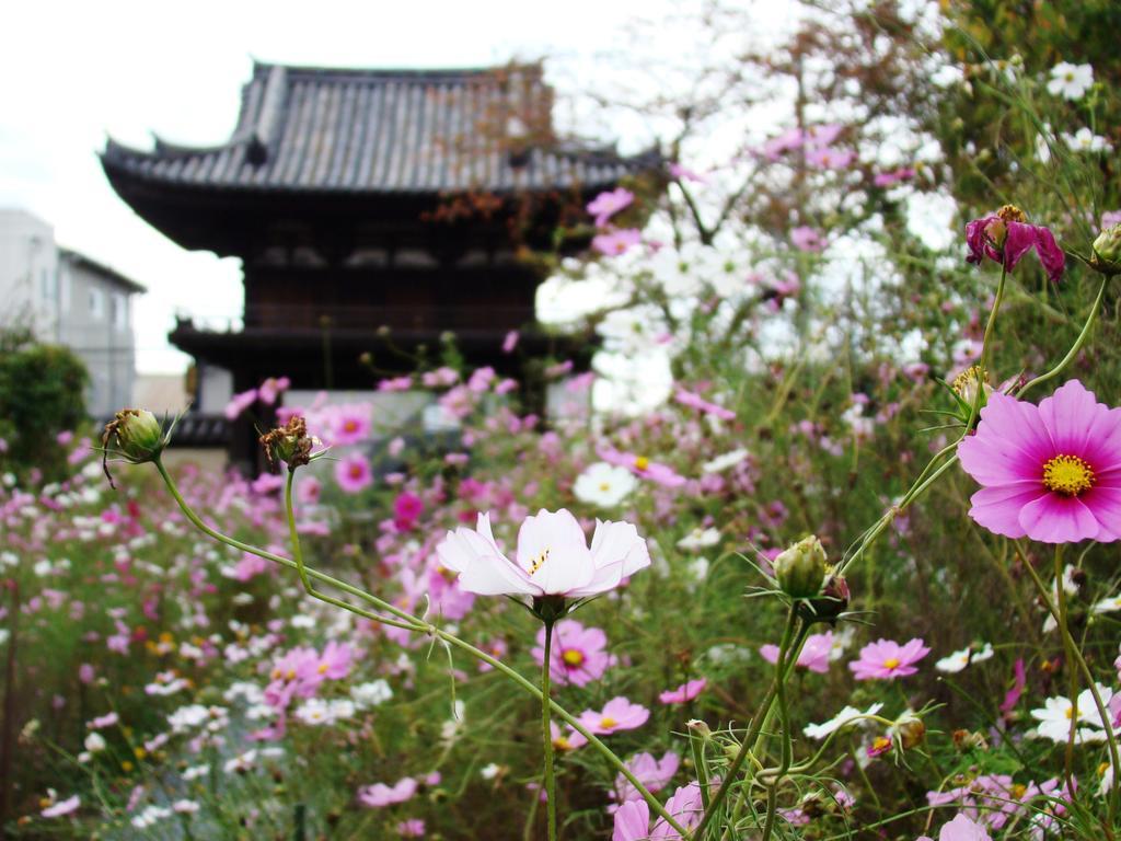 Yamabe Hotel Tenri Eksteriør billede