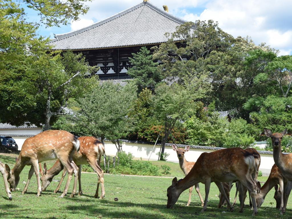 Yamabe Hotel Tenri Eksteriør billede