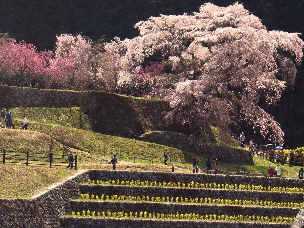 Yamabe Hotel Tenri Eksteriør billede